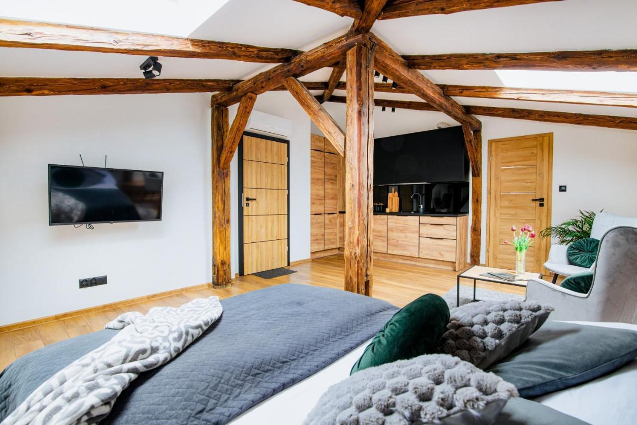 Apartment Vip Rzeszow