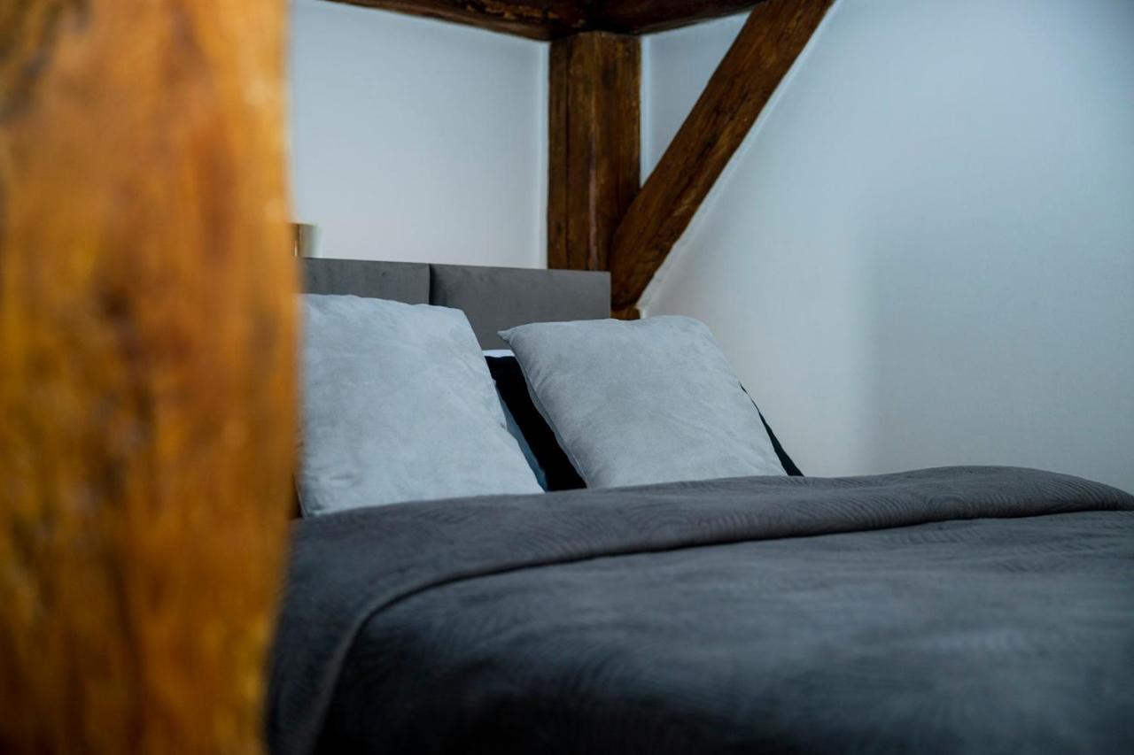 Apartment Vip Rzeszow